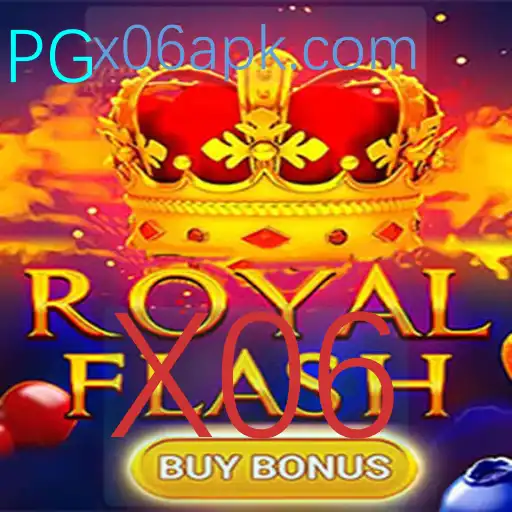 Descubra Tudo Sobre o Jogo RoyalFlashBuyBonus e a Palavra-Chave X06